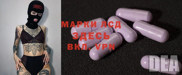 apvp Алзамай