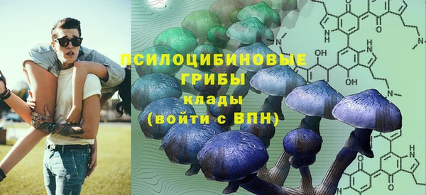 apvp Алзамай
