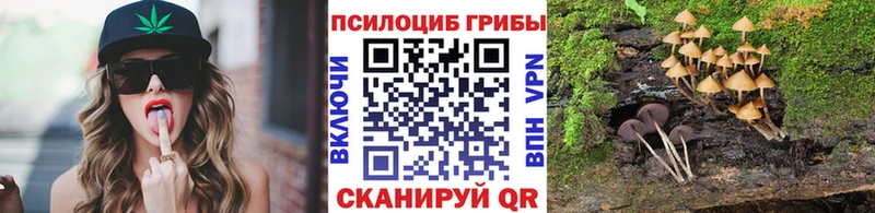OMG маркетплейс Королёв Галлюциногенные грибы прущие грибы